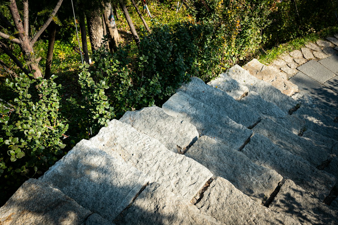 Stone steps lead down through a lush green garden.