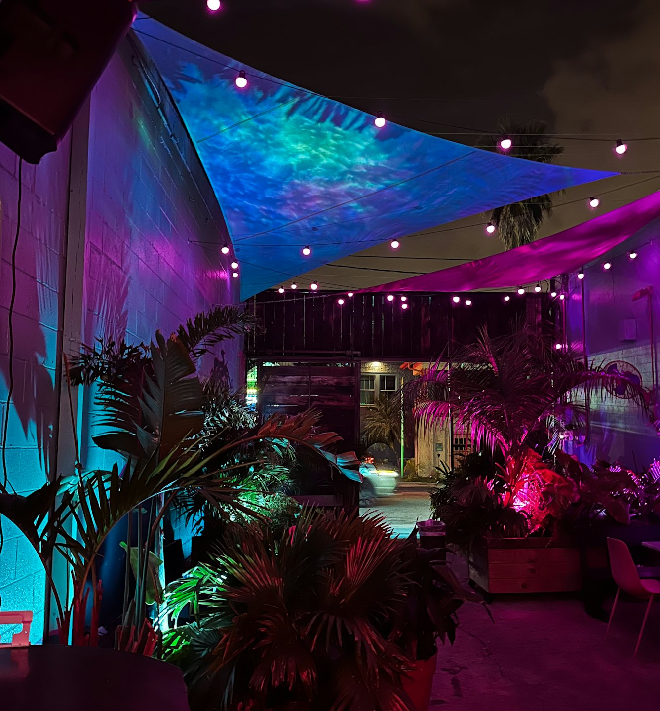 Neon lights illuminate tropical plants on an outdoor patio.